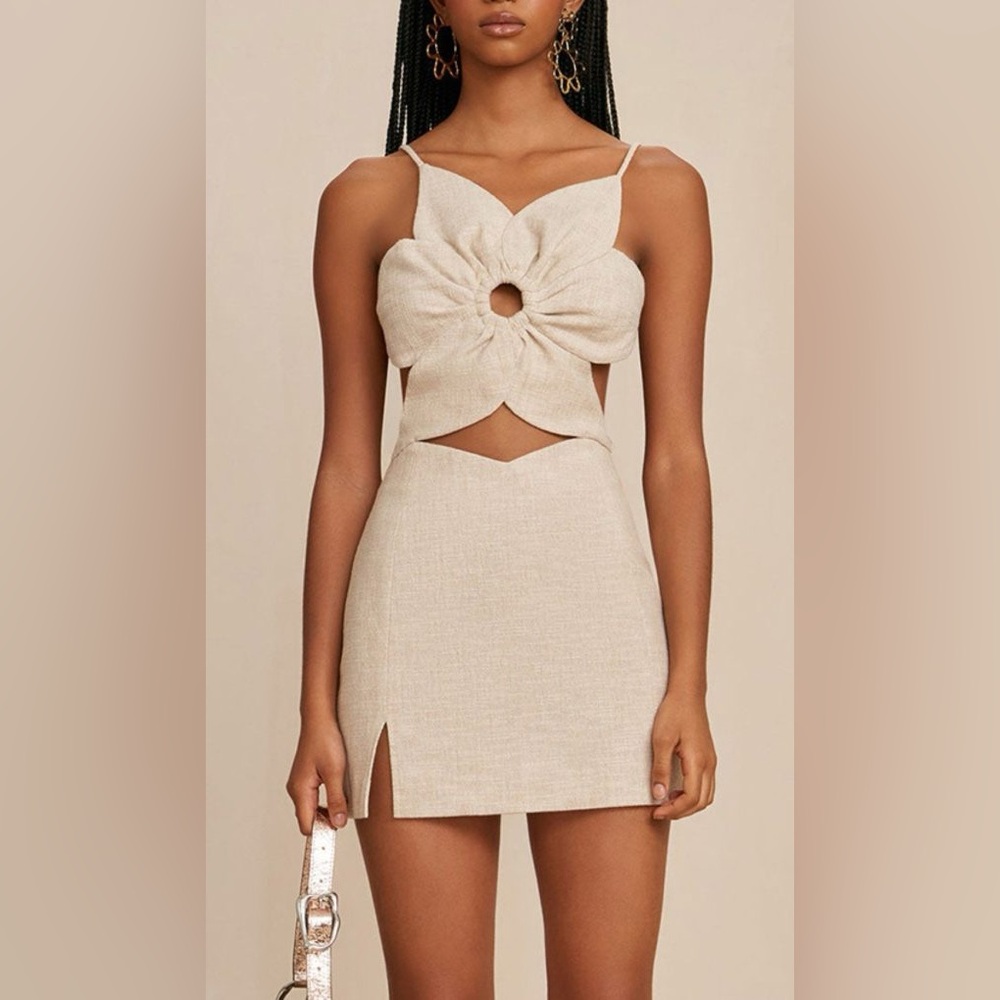 Cult Gaia aura dress